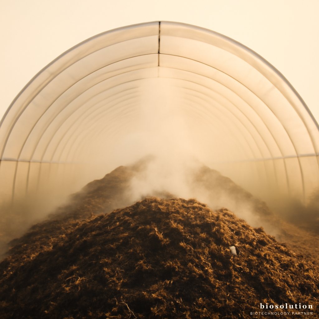 Kotoran Ayam Pengurai Bau: Studi Kasus Peternakan Bebas Bau dengan Mikroba